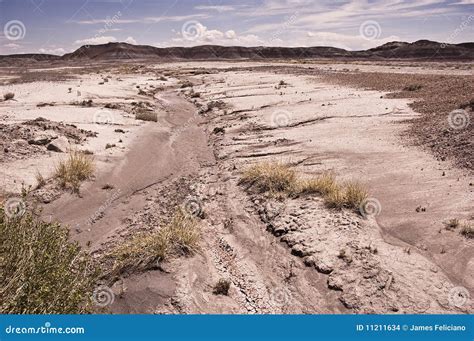Dried Desert Stream Stock Photo Image Of National Desert 11211634
