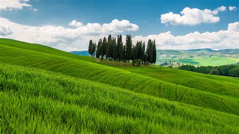 Tuscany Italy Hills Trees Grass Fields Clouds Wallpaper