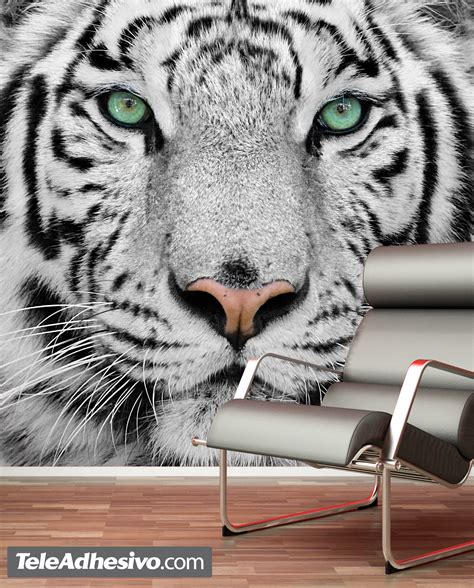 Wall Mural White Tiger