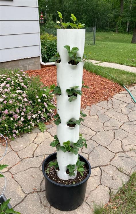 Vertical Strawberry Planter Micro Garden Pvc Tower For Soil Etsy