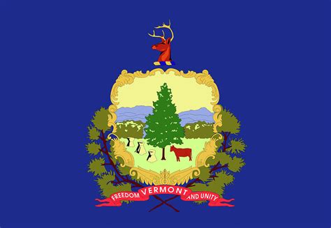 Flag Of Vermont Digital Art By Roy Pedersen Pixels