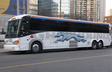 Grayhound Bus Com