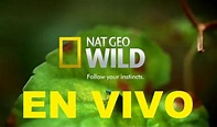 NATGEO WILD EN VIVO - TV EN VIVO ECUADOR
