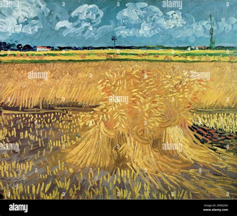 Van Gogh Campo De Trigo