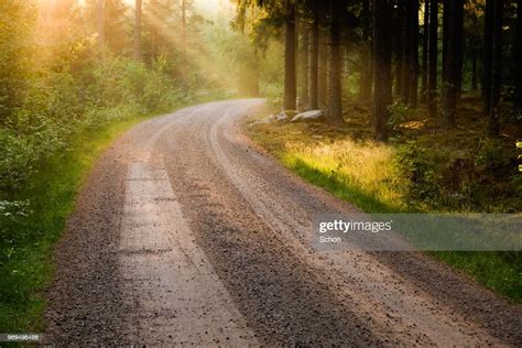Gravel Road Through Forest With Rays Of Evening Light In The Summer