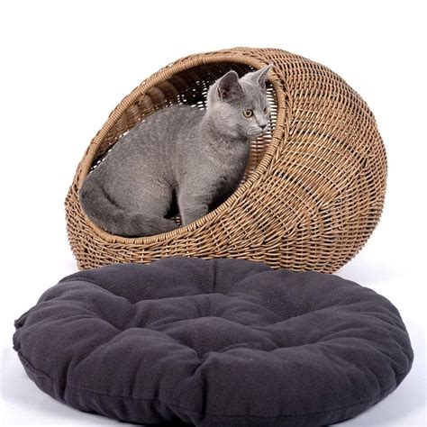 Dgarden Wicker Cat Bed Dome For Medium Indoor Cats A