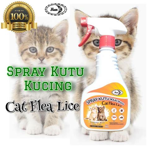 Spray Kutu Kucing Cat Supplement Vco Sikat Cat Flea Lice Ml Bam E