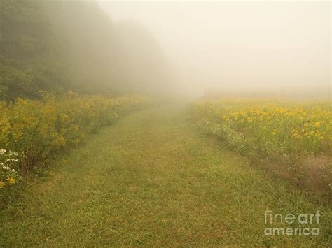 Mystery Path Photograph By Andrew Kazmierski Pixels