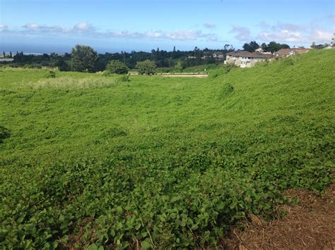 Kulamalu Affordable Rental Project Breaks Ground Maui