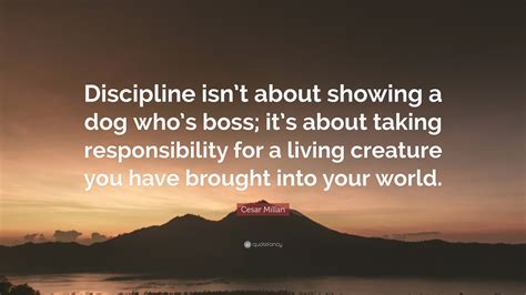 Cesar Millan Quote “discipline Isnt About Showing A Dog Whos Boss