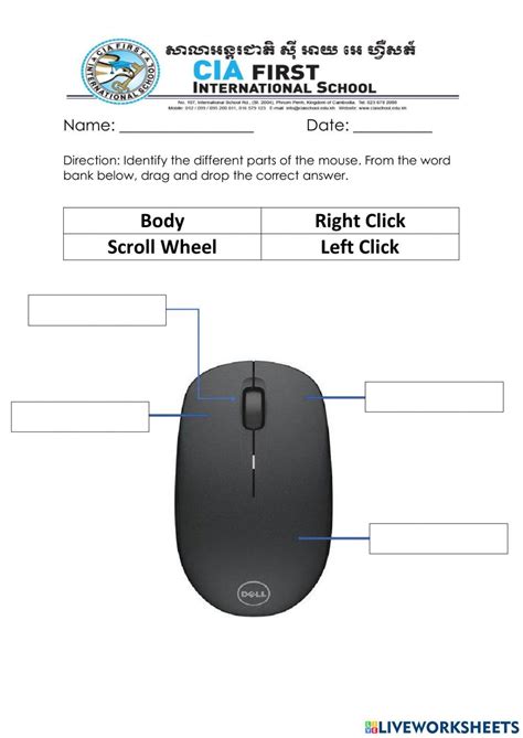 Parts Of The Computer Mouse Worksheet Computer Activities For Kids