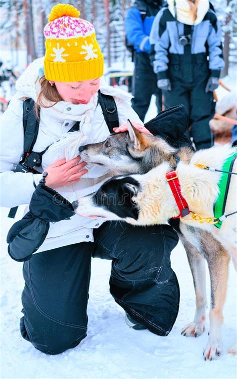 Girl And Husky Dog Finnish Lapland Winter Finnish Forest Reflex Stock