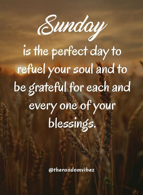 The Words Sunday Is The Perfect Day To Ref Your Soul And To Be Grateful