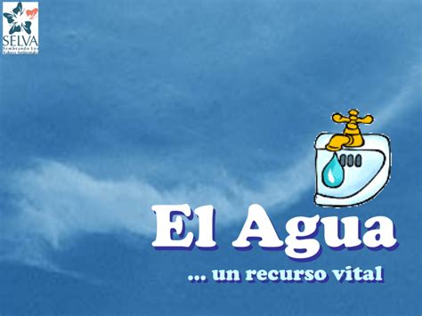 El Agua Un Recurso Vital