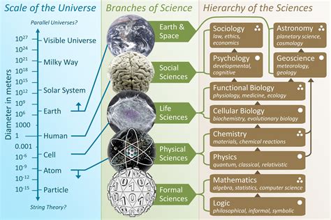 Branches Of Science Wikipedia — Db