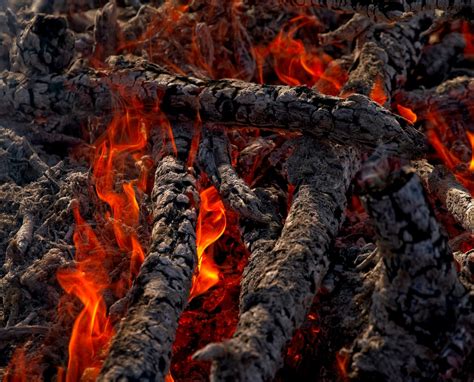 Forest Fires Pictures Download Free Images On Unsplash