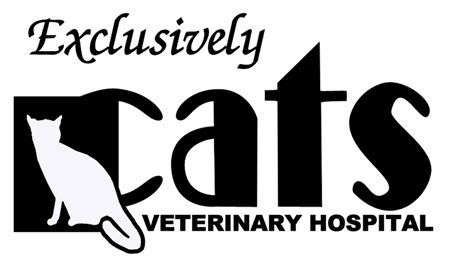Exclusively Cats Veterinary Hospital Veterinarian