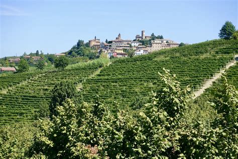 What To Do In Piedmonts Langheitaly Walkandexplore A Famous Wine Region