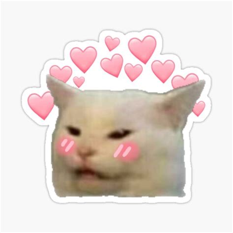 Cute Edited Cat Meme Sticker For Sale By Humblemushroom Redbubble