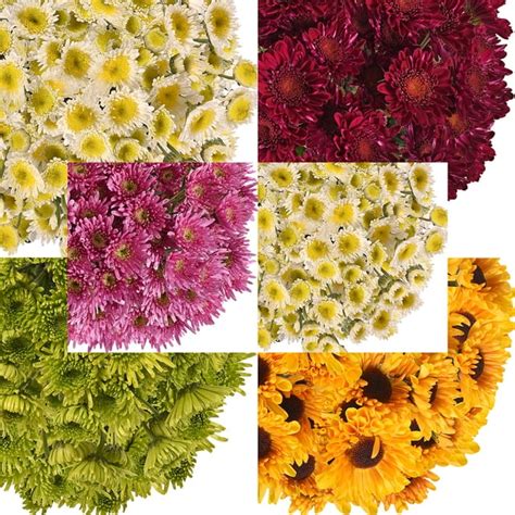 Fresh Cut Novelty Assorted Pompoms Pack Of 60 By Inbloom Group