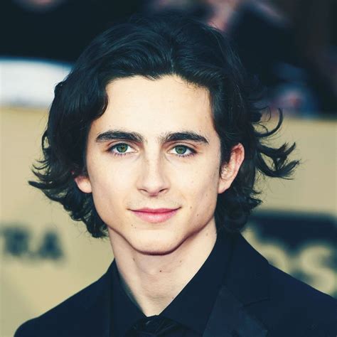 How To Get Timothée Chalamets Hair