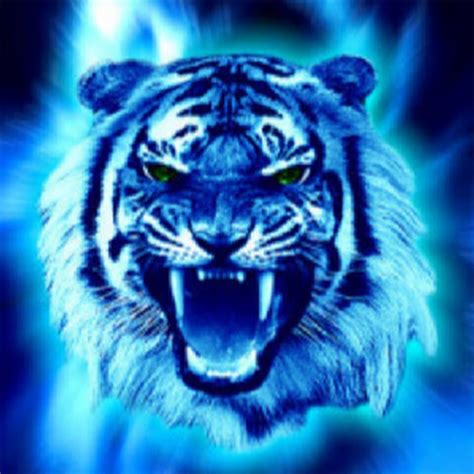 The Blue Tiger Roblox And More Youtube