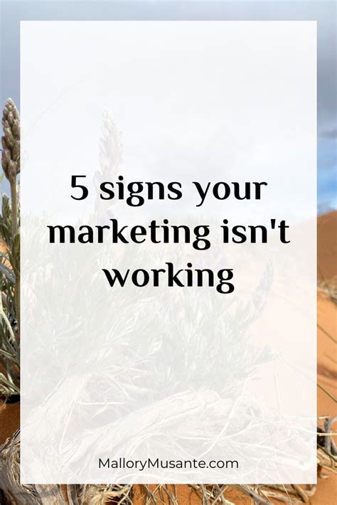 5 Signs Your Marketing Isnt Working — Mallory Musante Marketing