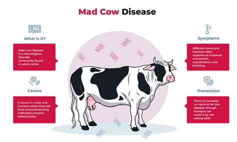 What Is Mad Cow Disease