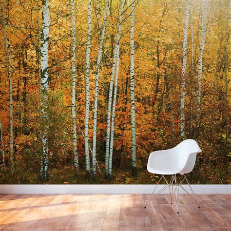 Birch Tree Forest Decal