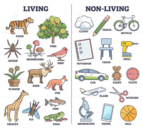 Living Vs Non Living Things Comparison For Kids Teaching Outline