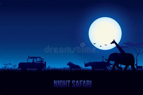 Night Safari Stock Vector Illustration Of Animal Africa 74355176