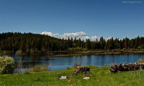 Roche Lake Roche Lake Provincial Park 36 Km Southeast Of K Flickr