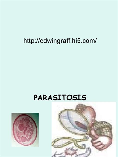 Parasitosis Pdf Parasitología Especialidades Medicas