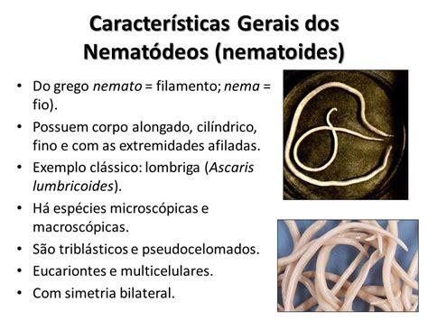 Característicasgeraisdosnematódeosnematoides Parasito
