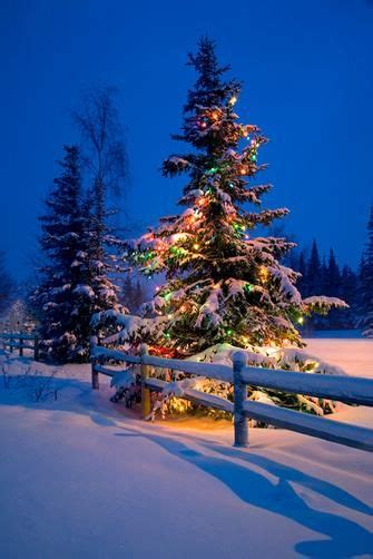 Peaceful Christmas Evening In The Country Christmas Scenery Outdoor