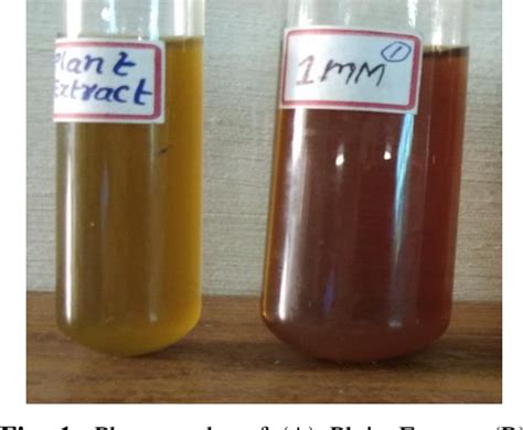 Figure 1 From Antimicrobial And In Vitro Cytotoxicity Effect Of Green