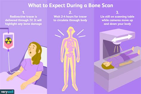 Bone Scans Uses Side Effects Procedure Results