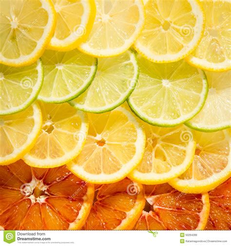 Orange Lemon Lime Slices Stock Image Image Of Lime 50264289