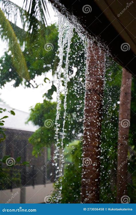 Water Falls From The Roof Breaking The Drain During A Heavy Tropical