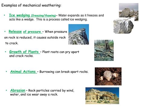 Ppt Weathering And Erosion Powerpoint Presentation Free Download