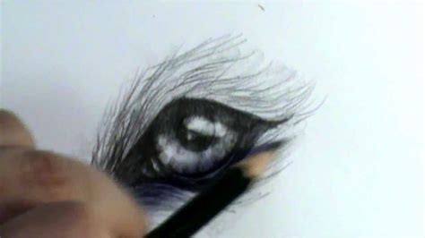 How To Draw A Wolf Eye Youtube