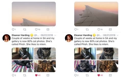 Twitter Uses Smart Cropping To Make Image Previews More Interesting