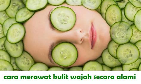 Cara Merawat Kulit Wajah Secara Alami Dan Cara Menjaga Kesehatan Kulit