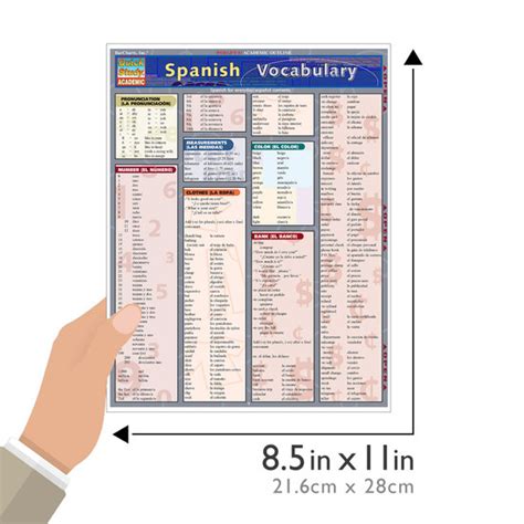 Quickstudy Spanish Vocabulary Laminated Study Guide 9781572225503