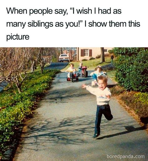 30 Of The Best Sibling Memes Ever Artofit