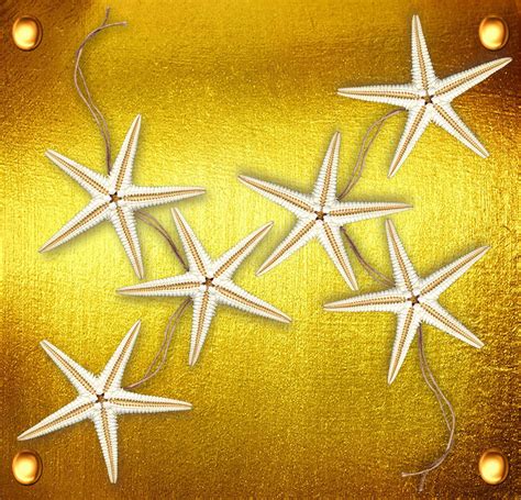 Download Sea Star Golden Ornament Royalty Free Stock Illustration