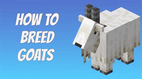 How To Breed Goats In Minecraft Youtube