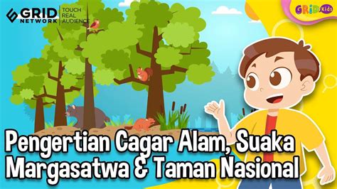 Apa Perbedaan Cagar Alam Suaka Margasatwa Taman Nasional Youtube