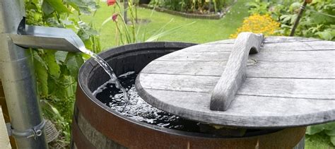 10 Outdoor Water Conservation Tips · Inspired Luv