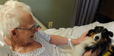 Animal Assisted Therapy Helps Alzheimers And Dementia Patients 1 Fur 1